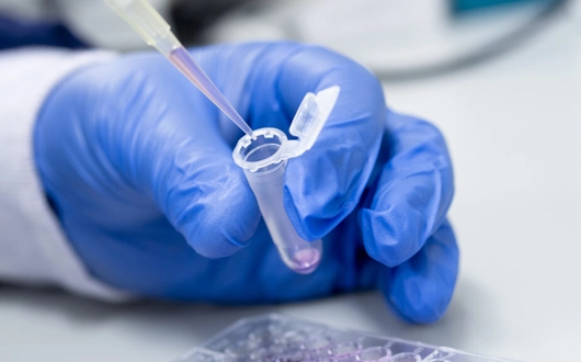 Tüp Bebekte Embriyo Genetik Test